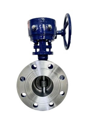 Premium Stainless Steel Flanged Butterfly Valve with Turbine Head