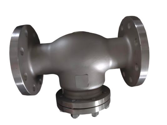 Ss Stainless Steel 316 304 CF8 DN100 DN150 DN50 Low Temperature Swing Check Valve