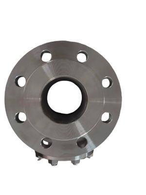 Ss Stainless Steel 316 304 CF8 DN100 DN150 DN50 Low Temperature Swing Check Valve