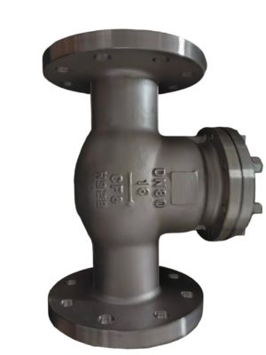 Ss Stainless Steel 316 304 CF8 DN100 DN150 DN50 Low Temperature Swing Check Valve