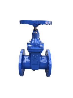 Cast Iron Nrs Resilient Seat Wedge Gate Valve