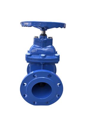 Cast Iron Nrs Resilient Seat Wedge Gate Valve