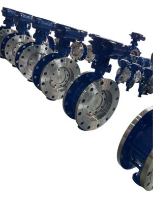 Premium Stainless Steel Flanged Butterfly Valve with Turbine Head