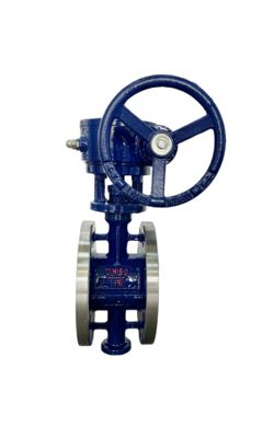Premium Stainless Steel Flanged Butterfly Valve with Turbine Head
