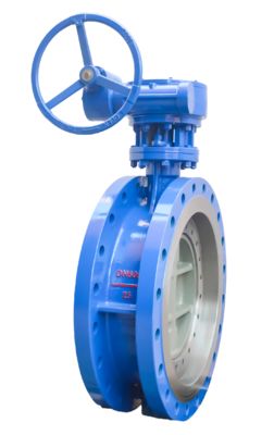 Premium Stainless Steel Flanged Butterfly Valve with Turbine Head